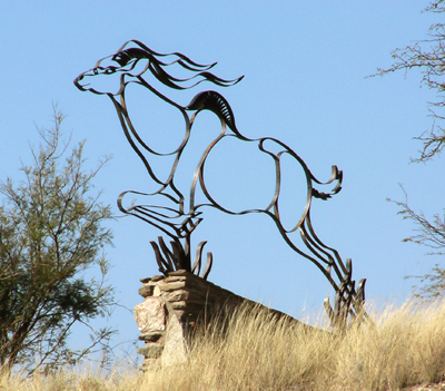 Bild Springender Kudu von Uli Aschenborn
